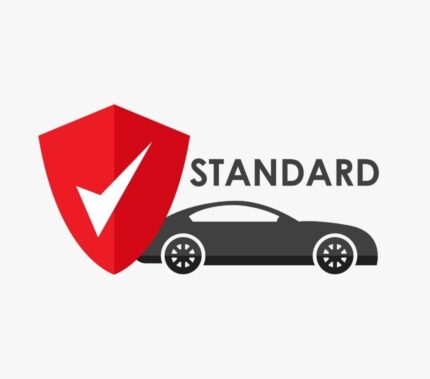 Standard (With Voice)